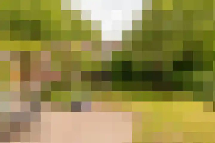 Strubben 1 Zuidwolde thumbnail 45