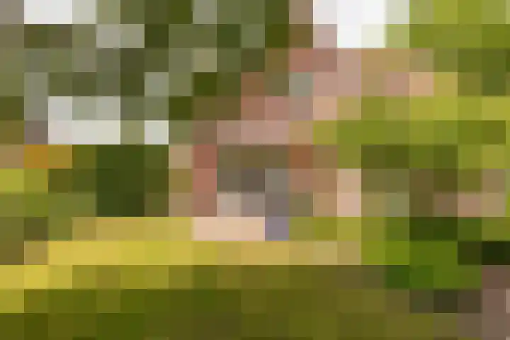 Strubben 1 Zuidwolde thumbnail 48