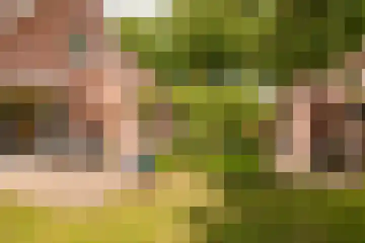 Strubben 1 Zuidwolde thumbnail 49