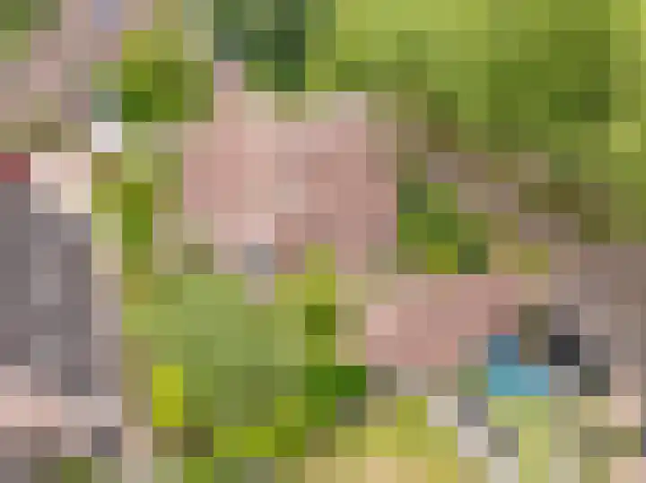 Strubben 1 Zuidwolde thumbnail 5