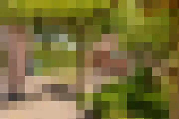 Strubben 1 Zuidwolde thumbnail 50