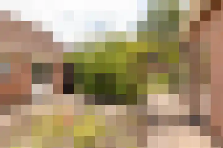 Strubben 1 Zuidwolde thumbnail 51