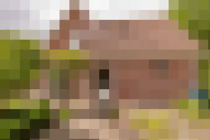 Strubben 1 Zuidwolde thumbnail 52