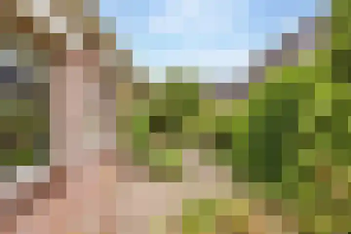 Strubben 1 Zuidwolde thumbnail 53