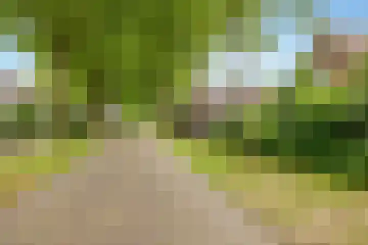 Strubben 1 Zuidwolde thumbnail 57