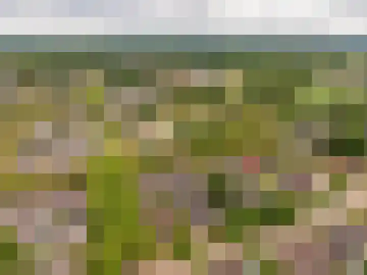 Strubben 1 Zuidwolde thumbnail 59
