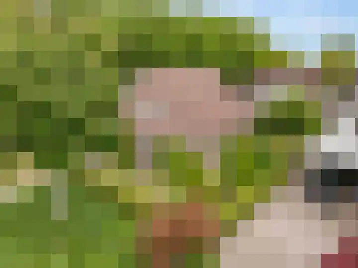 Strubben 1 Zuidwolde thumbnail 6
