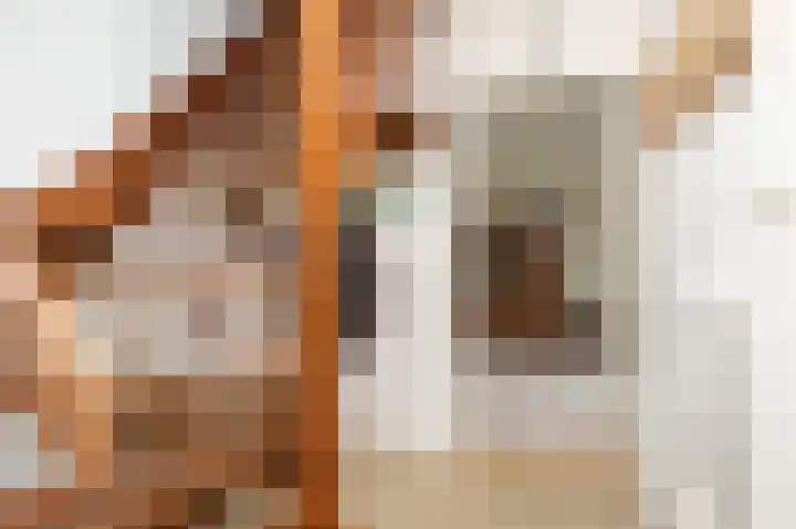 Strubben 1 Zuidwolde thumbnail 8
