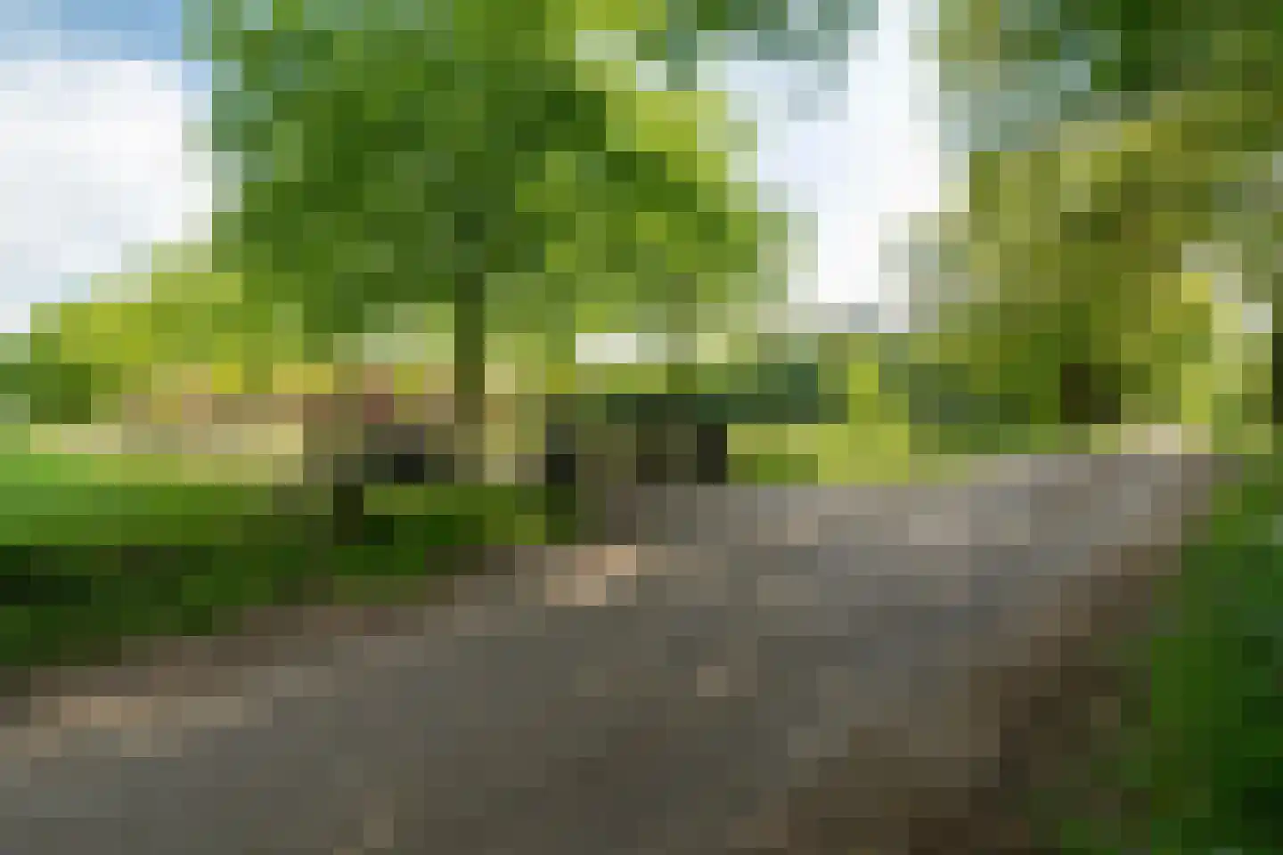Strubbenweg 1 Schipborg thumbnail 8