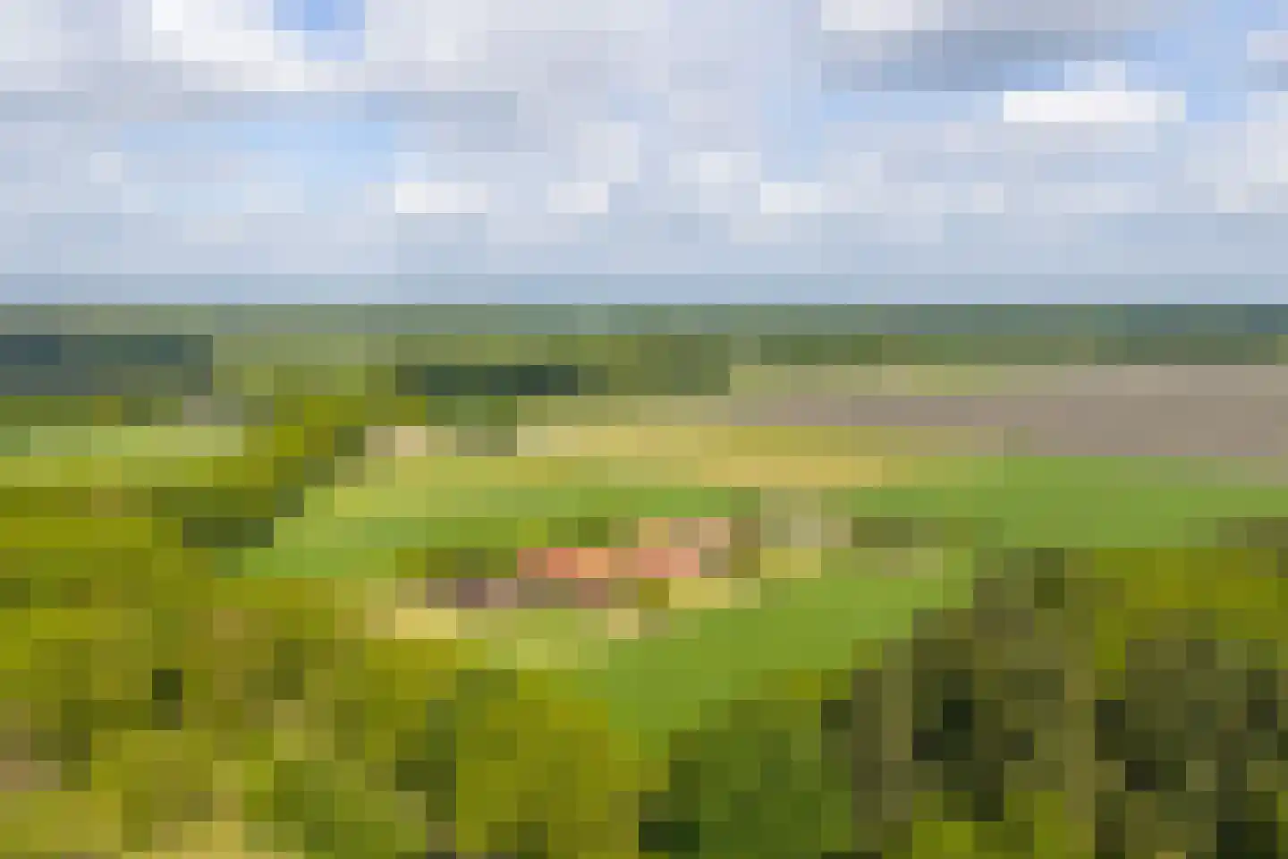 Strubbenweg 1 Schipborg thumbnail 89