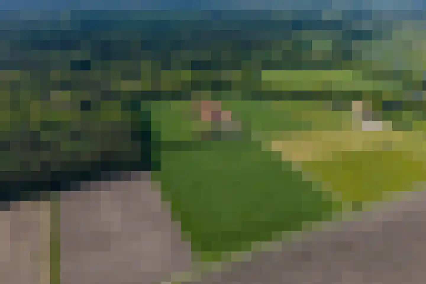 Strubbenweg 1 Schipborg thumbnail 91