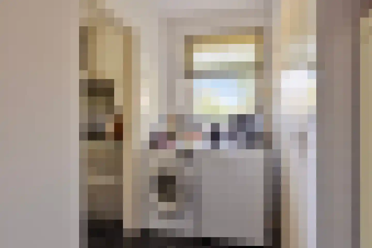 Strübenlaan 1 Venray thumbnail 22