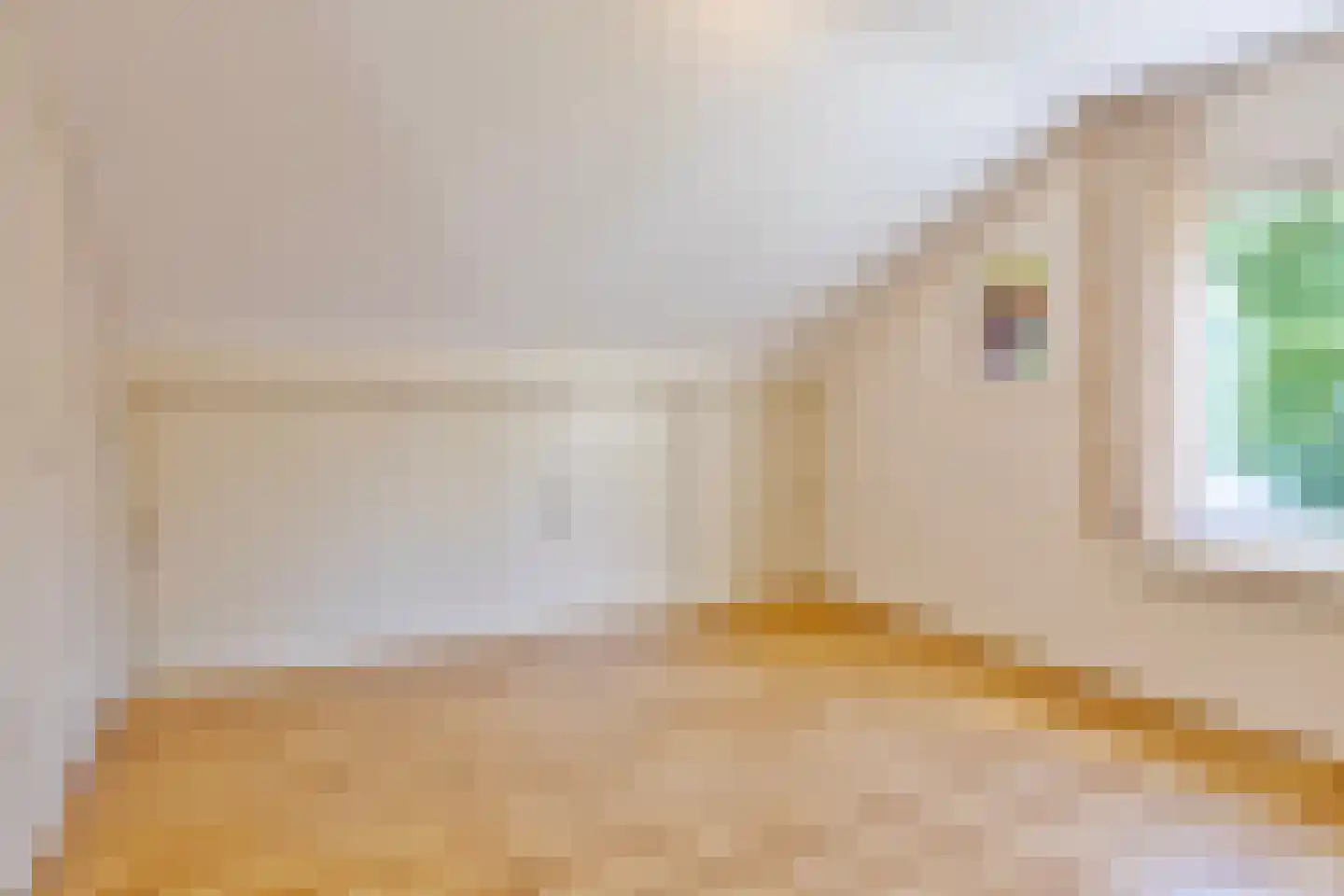 Strübenlaan 1 Venray thumbnail 37