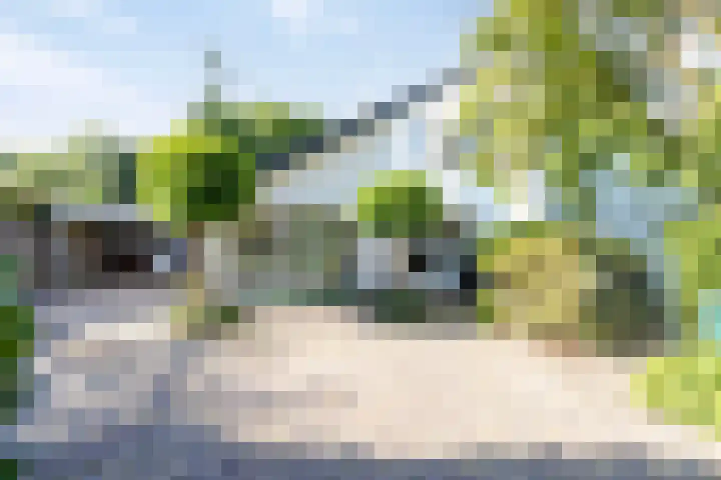 Strübenlaan 1 Venray thumbnail 4