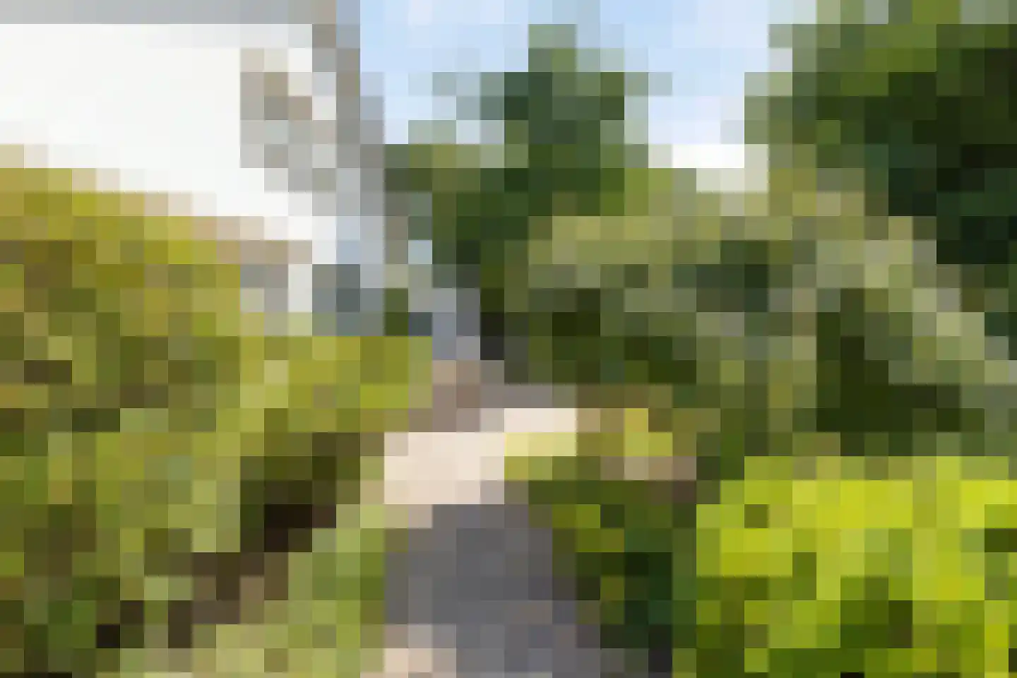 Strübenlaan 1 Venray thumbnail 53