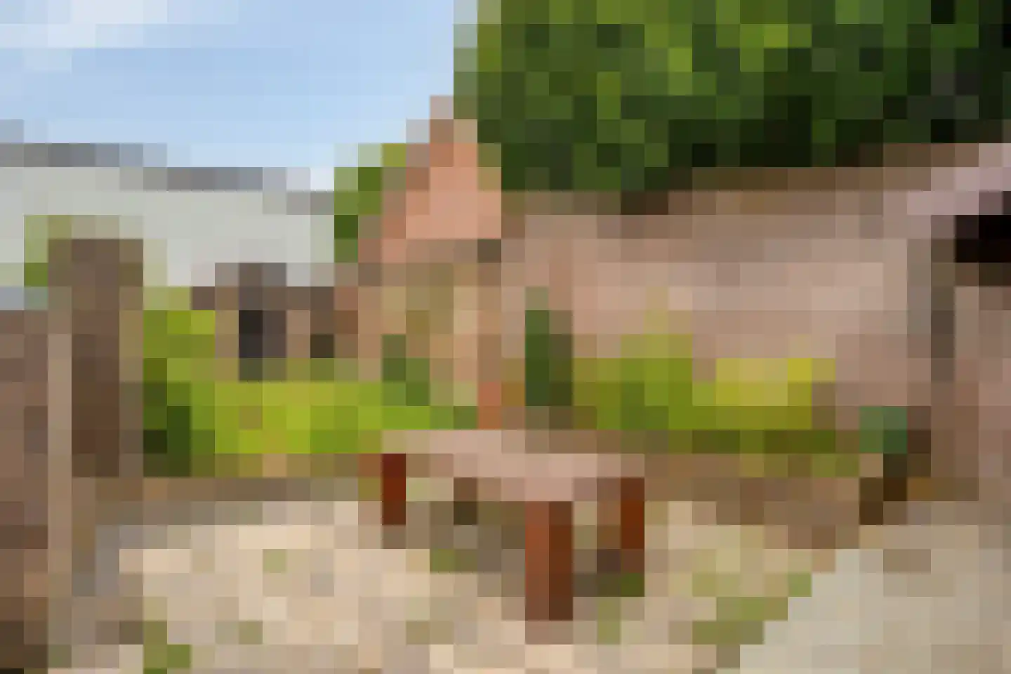 Strucht 18 Schin op Geul thumbnail 32