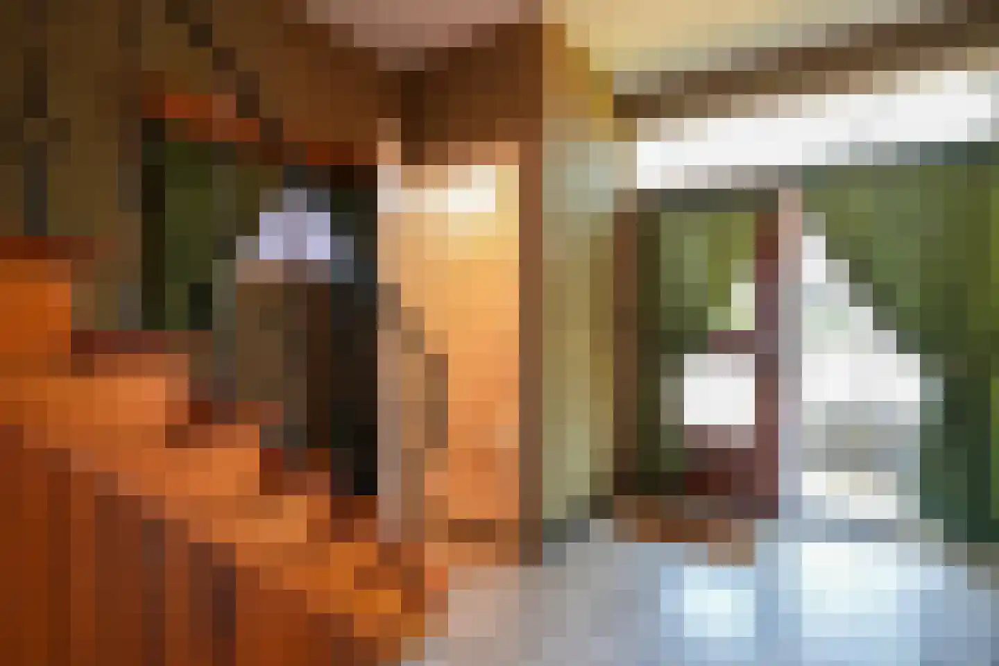 Strucht 54 Schin op Geul thumbnail 13