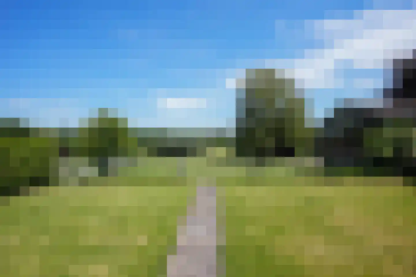 Strucht 54 Schin op Geul thumbnail 30