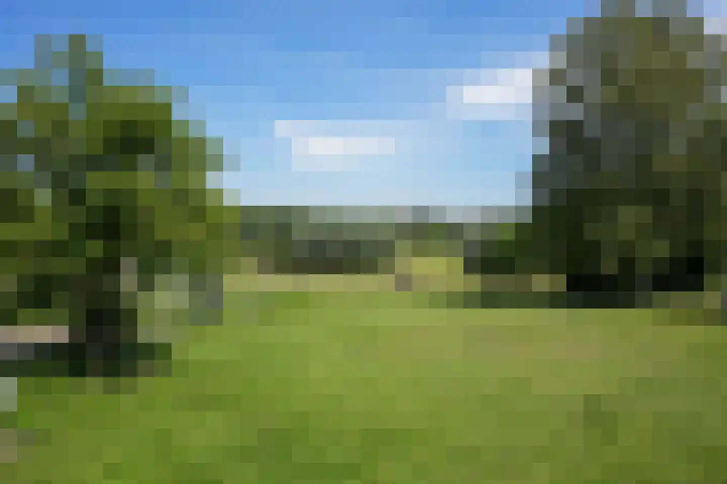 Strucht 54 Schin op Geul thumbnail 32