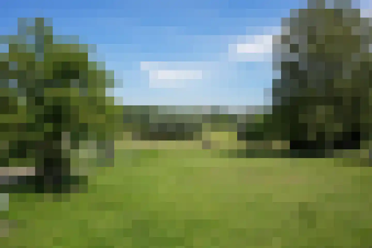 Strucht 54 Schin op Geul thumbnail 32