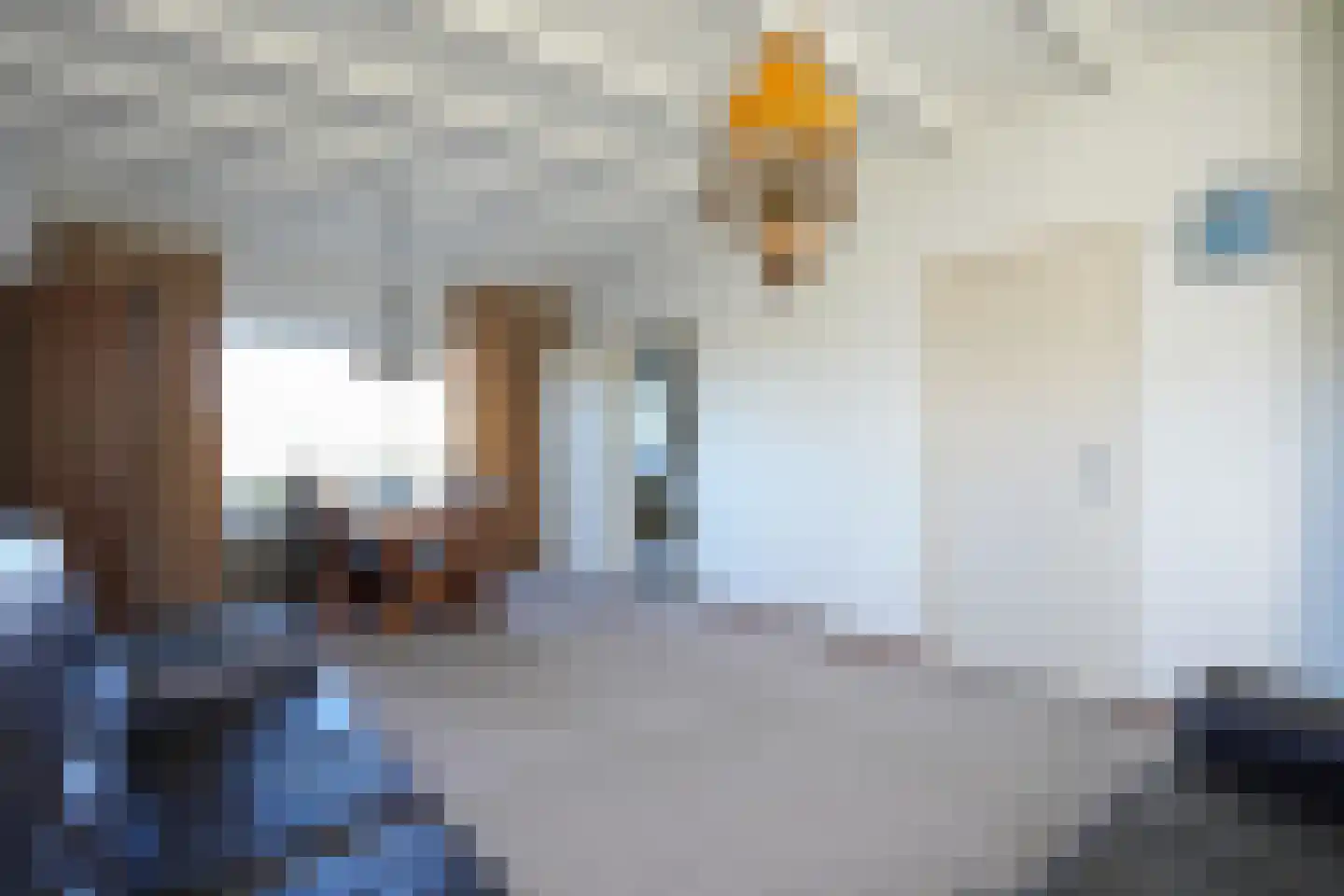 Strucht 54 Schin op Geul thumbnail 8