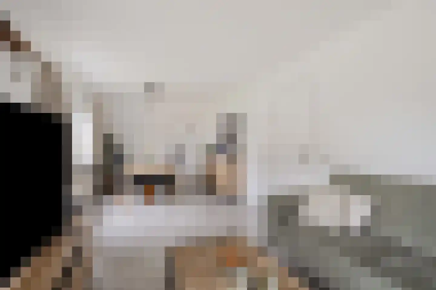 Strucht 68 C Schin op Geul thumbnail 10