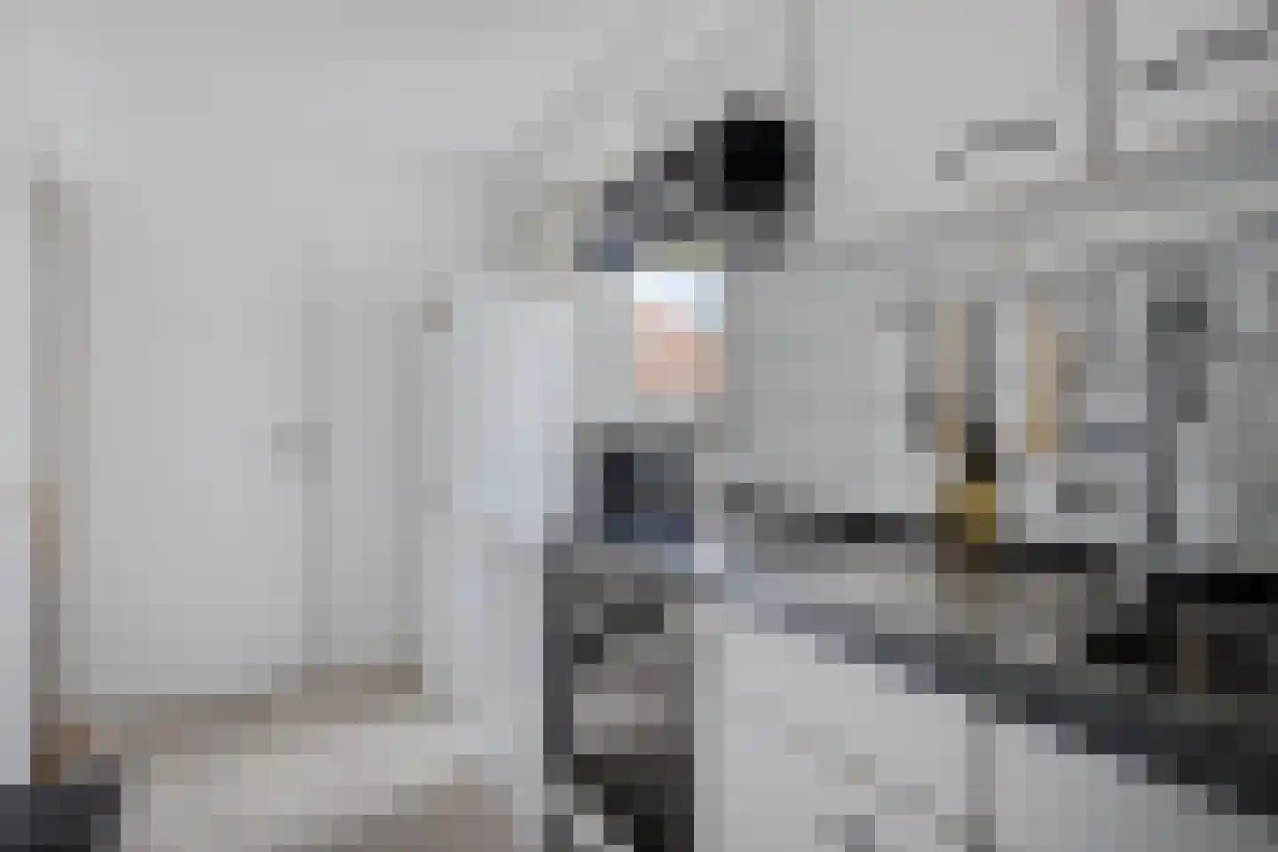 Strucht 68 C Schin op Geul thumbnail 13