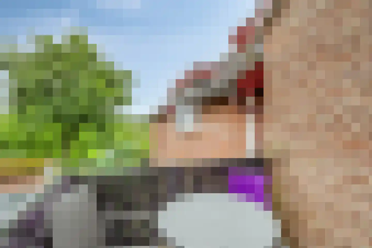 Strucht 68 C Schin op Geul thumbnail 19