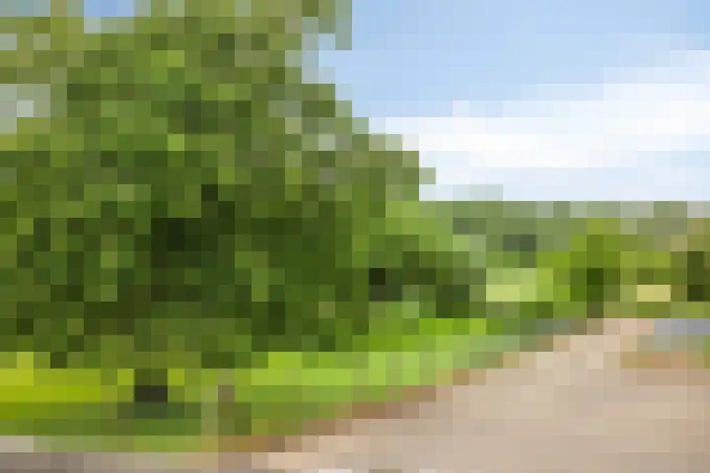 Strucht 68 C Schin op Geul thumbnail 23