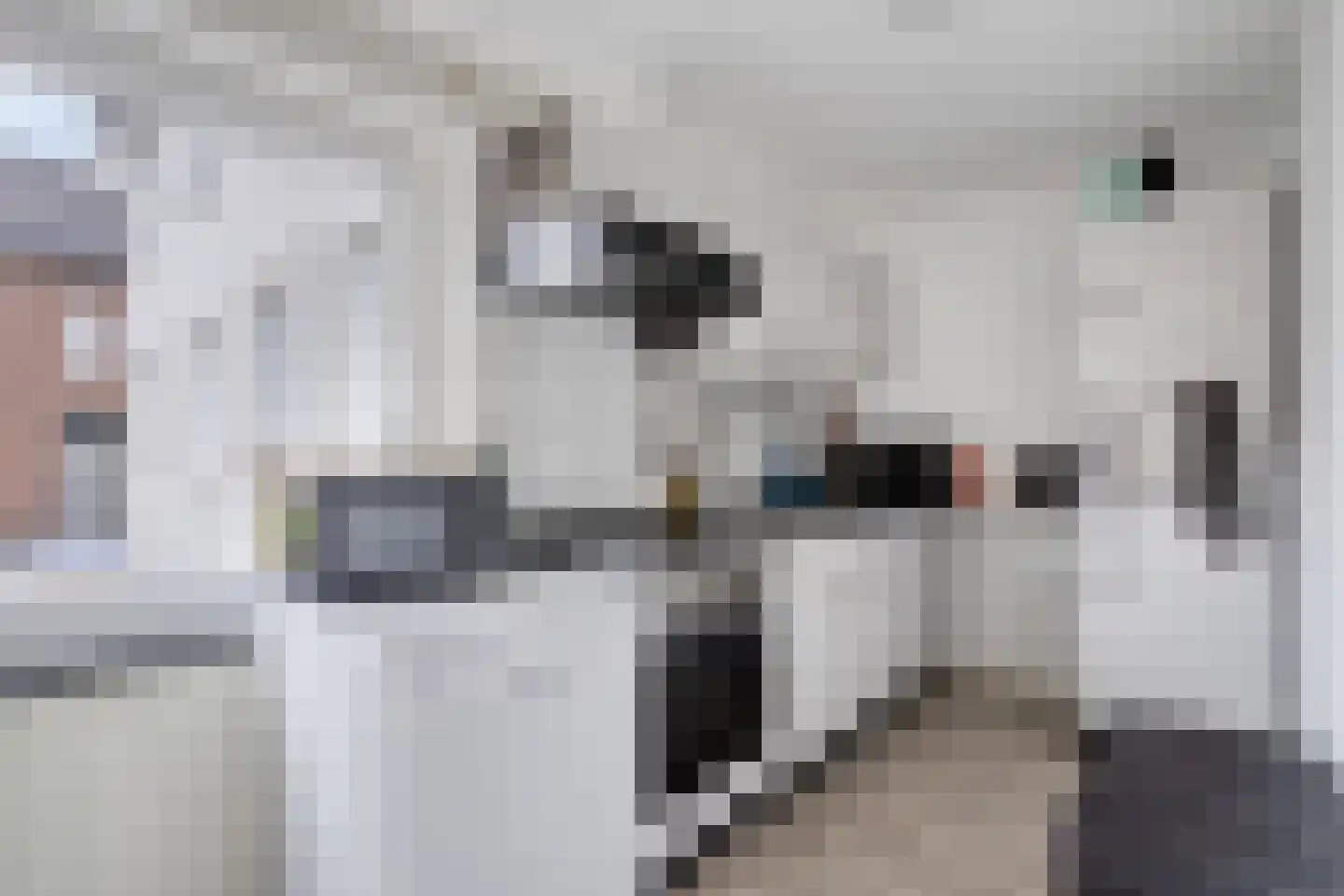 Strucht 68 C Schin op Geul thumbnail 4