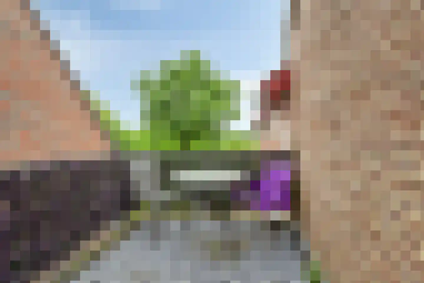 Strucht 68 C Schin op Geul thumbnail 5
