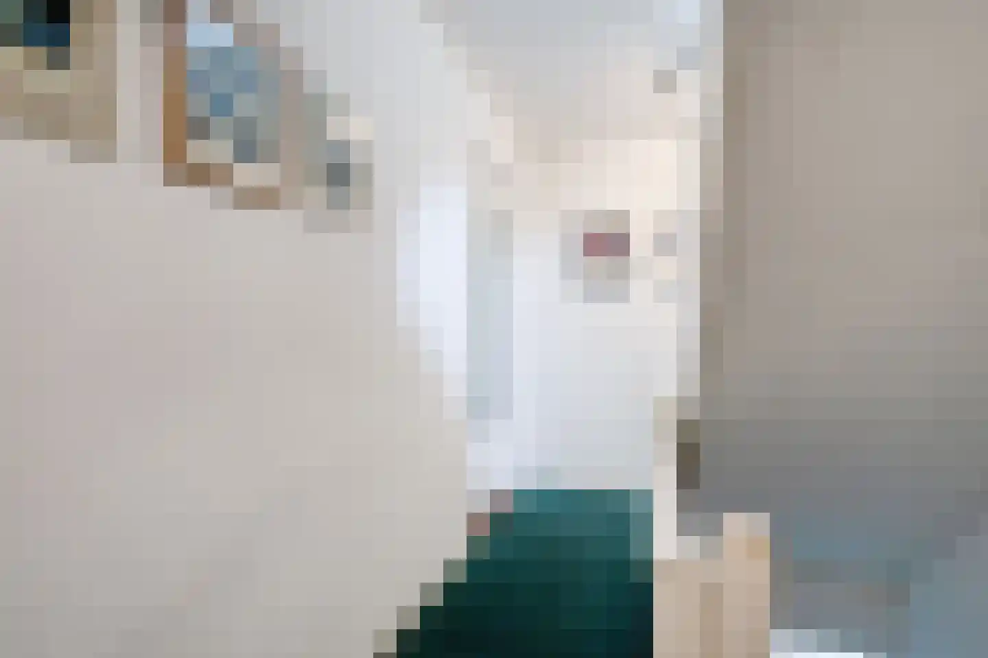 Strucht 68 C Schin op Geul thumbnail 7