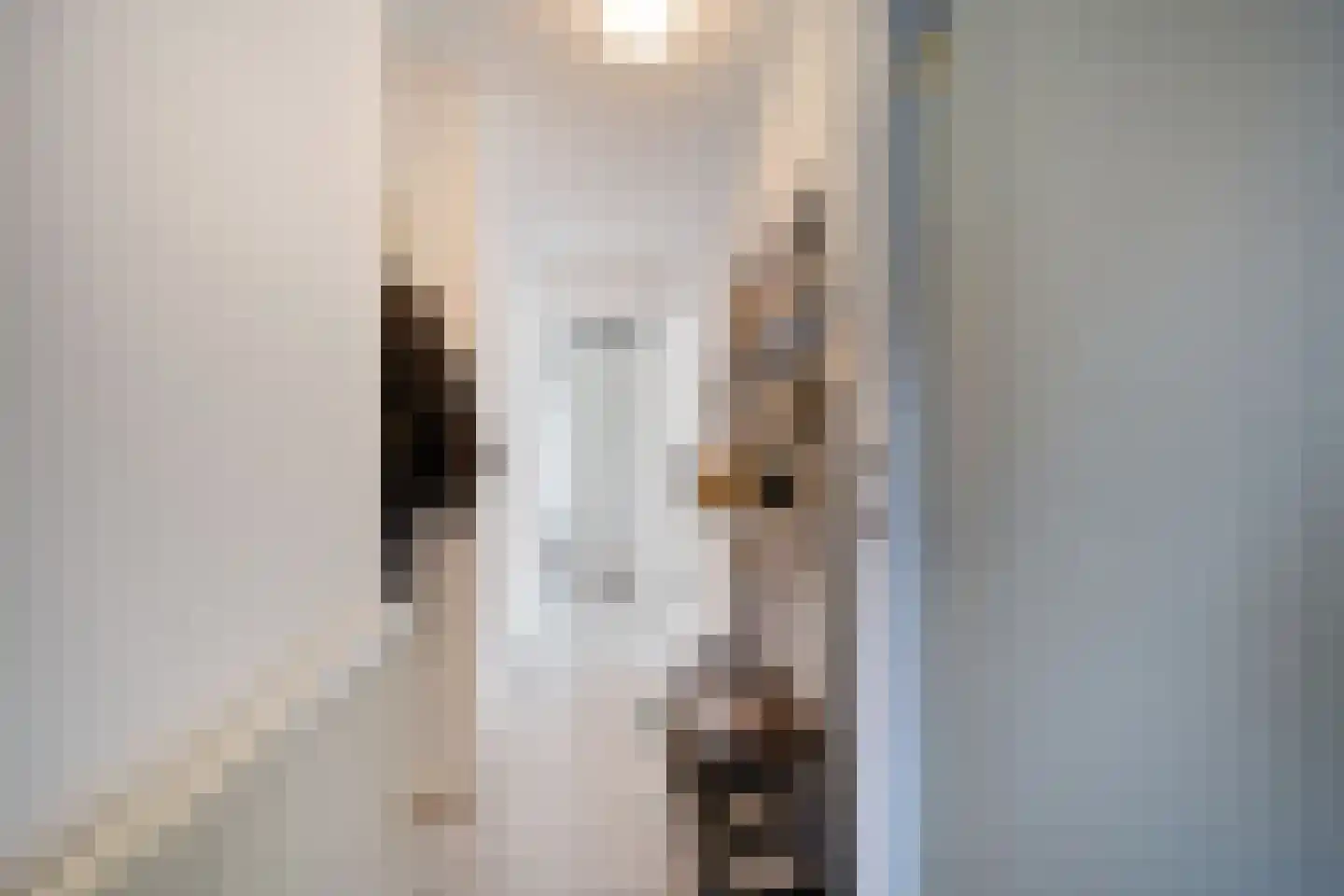 Strucht 68 C Schin op Geul thumbnail 8