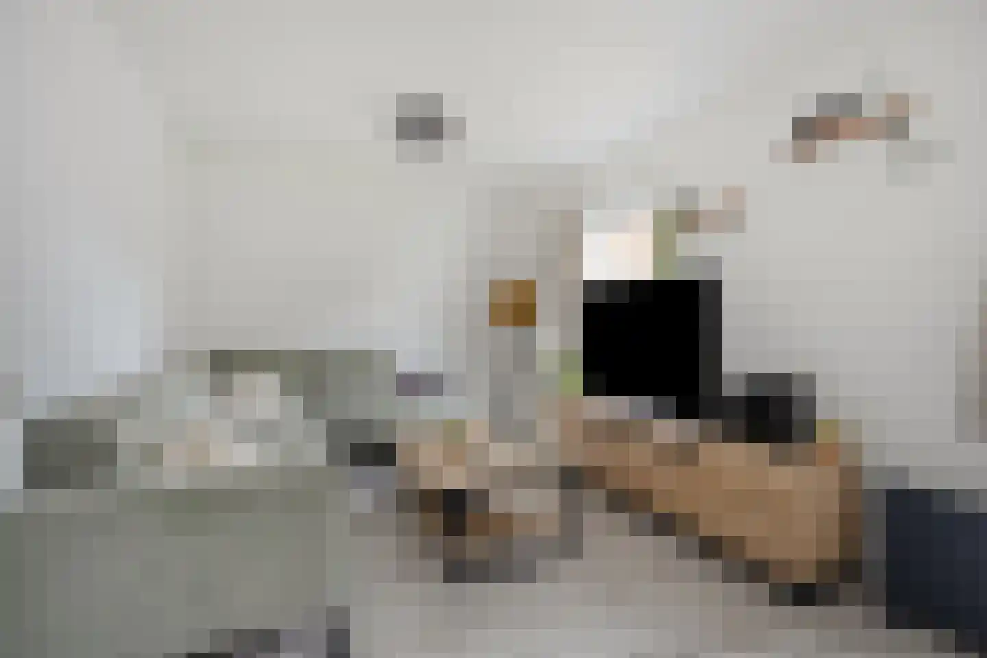 Strucht 68 C Schin op Geul thumbnail 9