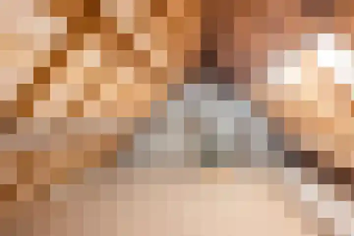 Strucht 80 Schin op Geul thumbnail 19