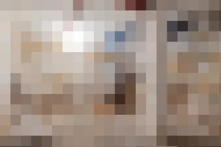 Strucht 80 Schin op Geul thumbnail 20