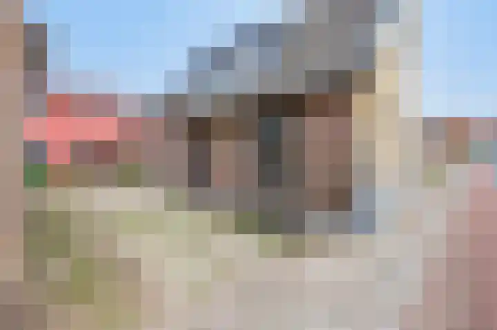 Strucht 80 Schin op Geul thumbnail 21