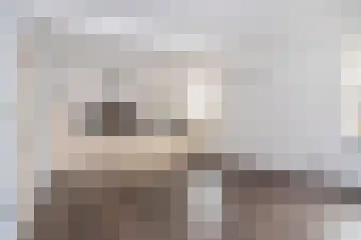 Strucht 80 Schin op Geul thumbnail 4