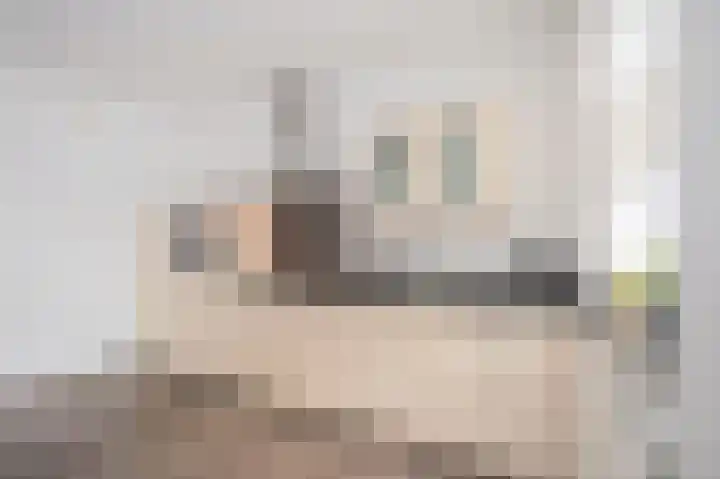 Strucht 80 Schin op Geul thumbnail 7