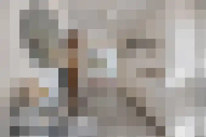 Struijshof 11 Breda thumbnail 11