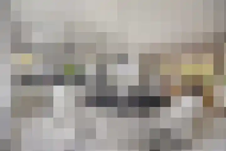 Struijshof 11 Breda thumbnail 26