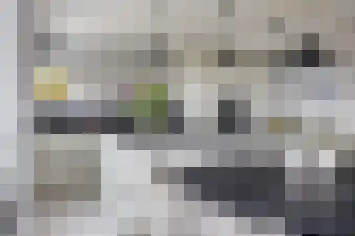 Struijshof 11 Breda thumbnail 27