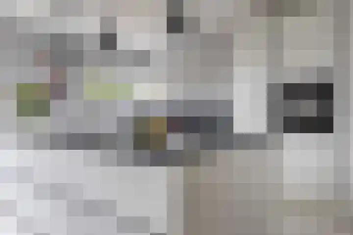 Struijshof 11 Breda thumbnail 28