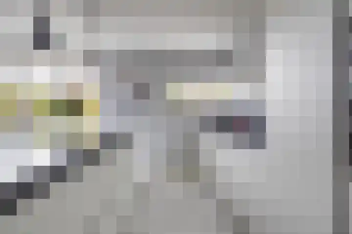 Struijshof 11 Breda thumbnail 29
