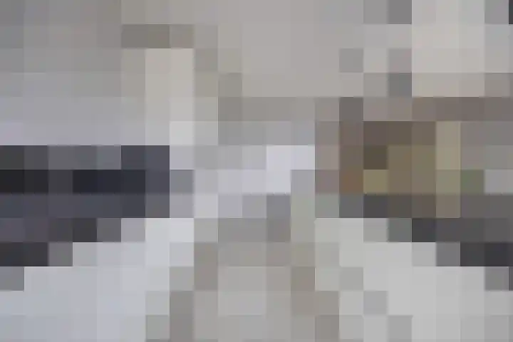 Struijshof 11 Breda thumbnail 30