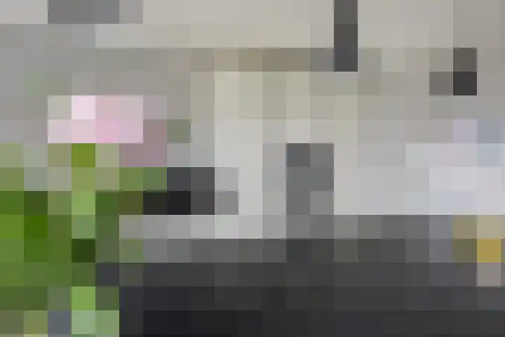 Struijshof 11 Breda thumbnail 32