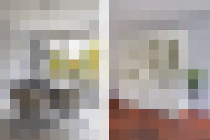 Struijshof 11 Breda thumbnail 33