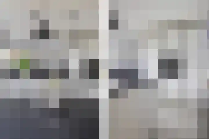 Struijshof 11 Breda thumbnail 34