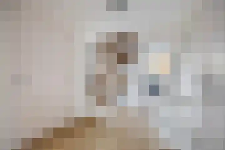 Struijshof 11 Breda thumbnail 35
