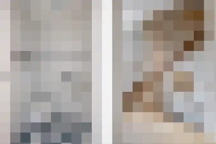 Struijshof 11 Breda thumbnail 37